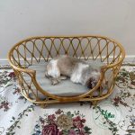 Cama Pet Palhinha Indiana Plutus - Imagem 5