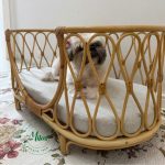 Cama Pet Palhinha Indiana Plutus - Imagem 4